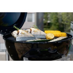 ΣΤΗΡΙΓΜΑ ΨΑΡΙΟΥ